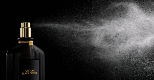 6dfa06a1f1f8a6fcef3bad650f209f80